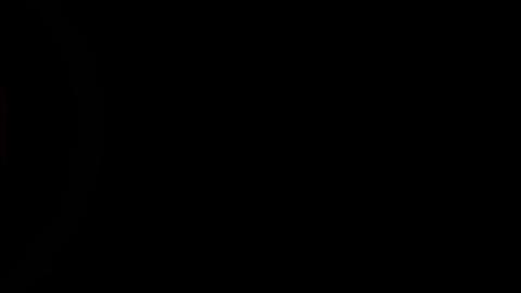 26445